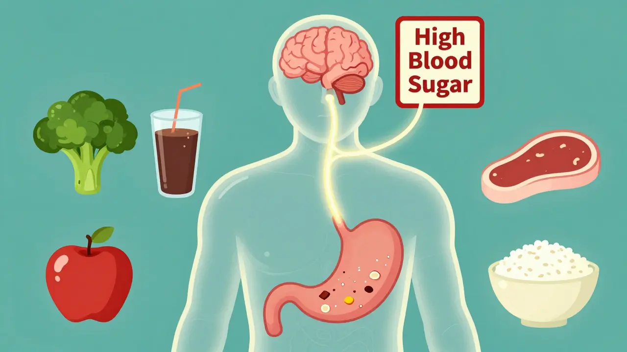 Transparent torso showing delayed food movement in stomach with damaged vagus nerve and warning signs.